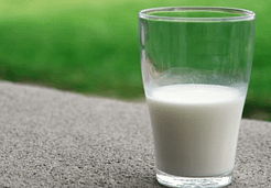 milk