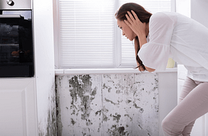 insecurity reduction